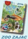 Zoo Zajac Katalog 2009 - Der gr&ouml;&szlig;te und leistungsst&auml;rkste Katalog f&uuml;r alle Aqarianer und Terrarianer von Deutschlands gr&ouml;&szlig;tem Zoo-Fachversand. Jetzt hier bei katalogkommt.de bestellen...