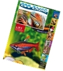 Zoo Zajac Katalog 2009 - Der gr&ouml;&szlig;te und leistungsst&auml;rkste Katalog f&uuml;r alle Aqarianer und Terrarianer von Deutschlands gr&ouml;&szlig;tem Zoo-Fachversand. Jetzt hier bei katalogkommt.de bestellen...